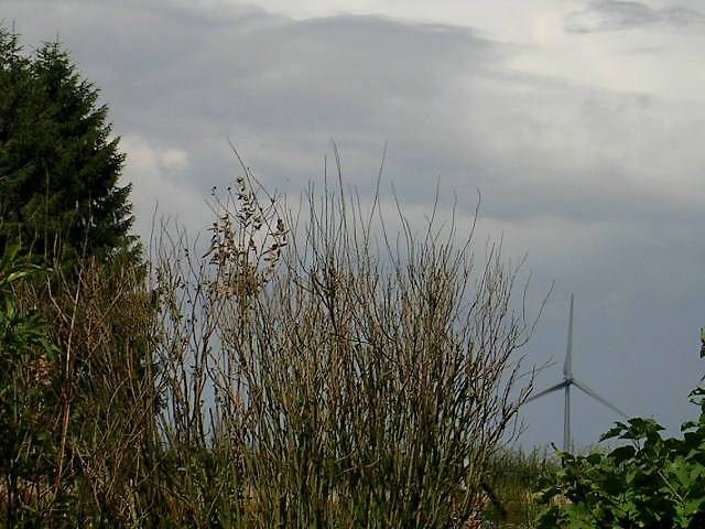 Une olienne de Salazine vue du jardin  Lisogne : Moins menaante que le temps !