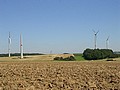 Des Baulettes  Salazinne, les oliennes de Thynes-Lisogne poussent comme des champignons.