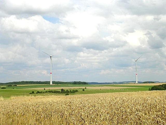 Les pieds dans le blé, la tête dans les nuages