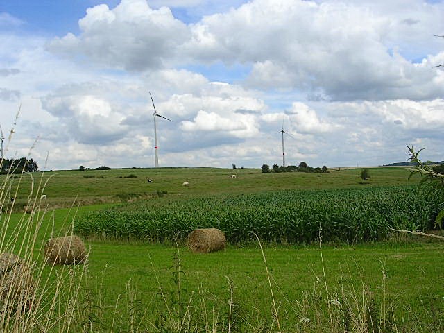 Eoliennes de Slazine (Tynes - Dinant)