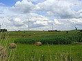Diversification de l'agriculture : La terre produit le fourrage. Le vent produit l'électricité.