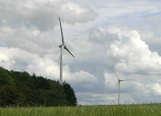 Des dames tranquilles dans la campagne de Lisogne