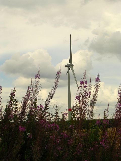 Lumire du soir