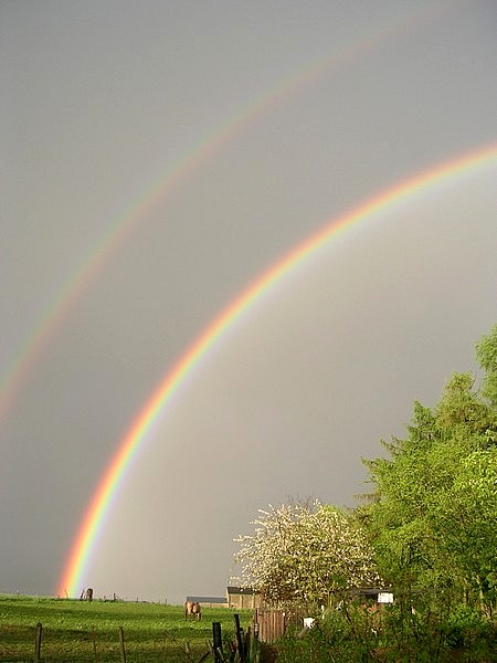 Arc-En-Ciel, comme une promesse