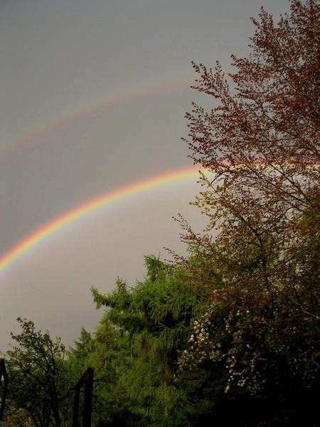 Arc-en-ciel sous la pluie