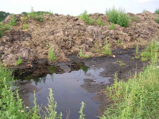 Un autre chemin, un autre tas de fumier, avec la nature qui reprend ses droits tout autour.