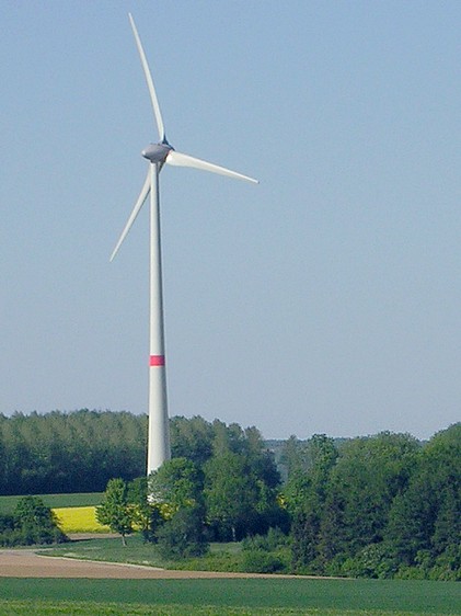 Firement plante dans un champ de Colza, comme pour clamer la suprmatie de l'olien sur les bio-carburants.