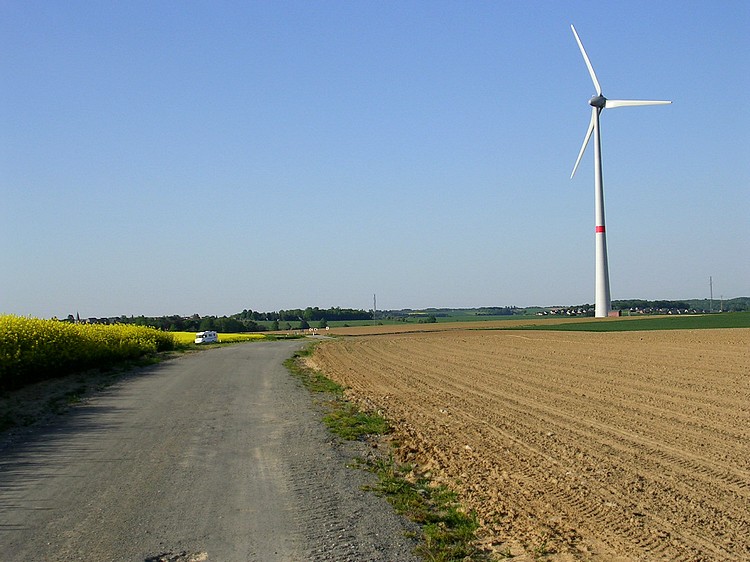 A l'cart de la route Dinant - Spontin, seule sur la chausse romaine avec, en arrire plan, au loin,  le lotissement de Dorinne.