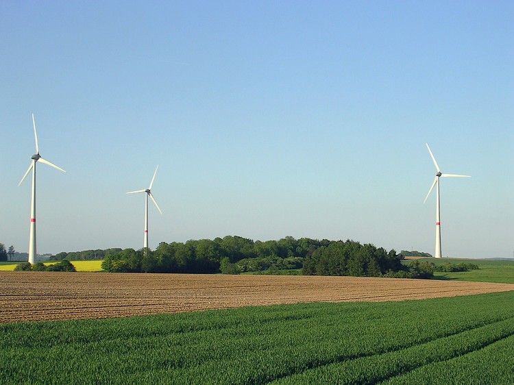 La campagne est belle sous le soleil de printemps.