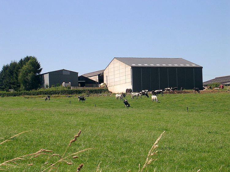 Ferme des Horizons, 2007