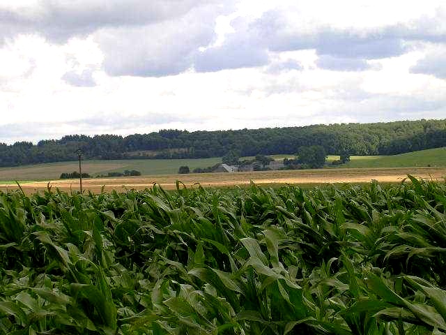 Bois de Thynes (Romere), ferme Gorin